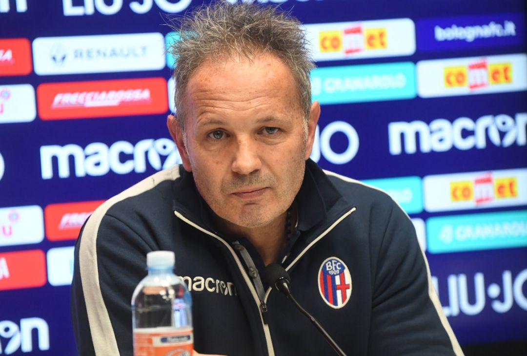 体育竞技的 体育竞技的