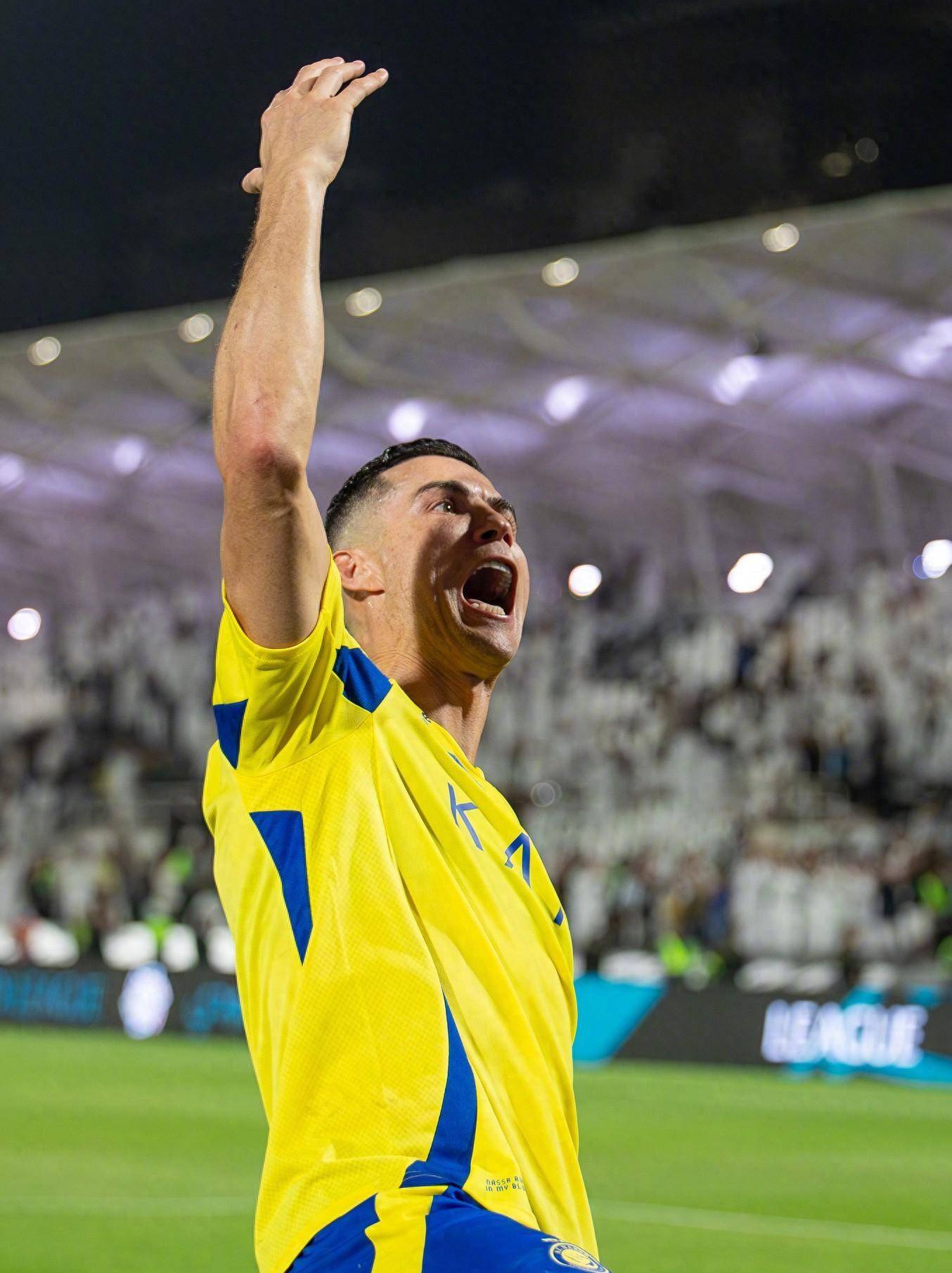 胜率更稳定 胜率更稳定