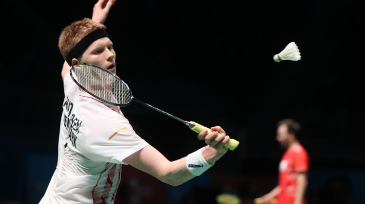 占比提升 占比提升